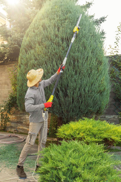 Best Leaf Removal Services  in Dawson, TX